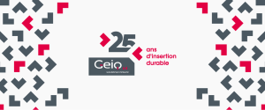 Geiq64